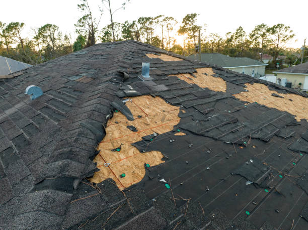 Best Solar Panel Roofing Installation  in Waimalu, HI
