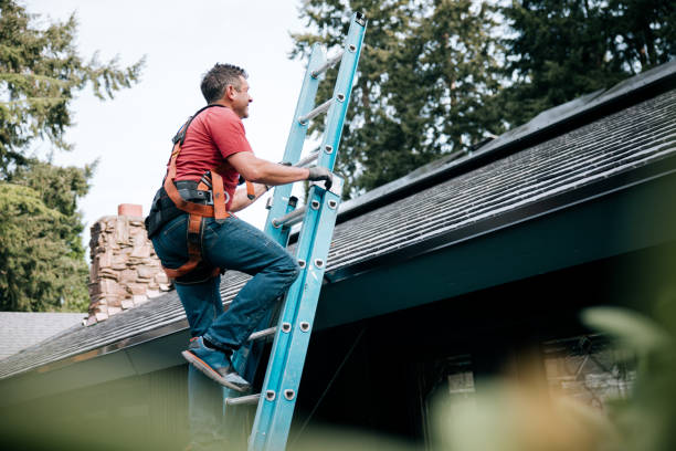 Best Roof Waterproofing  in Waimalu, HI